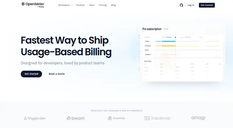 The OpenMeter homepage